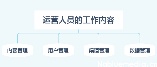 抖音运营人员需要具备哪些能力 抖音运营人员需要具备哪些能力
